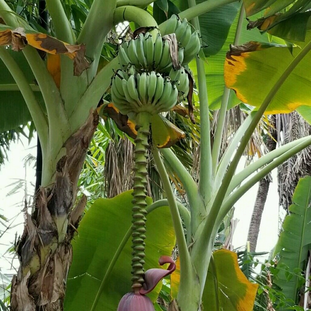 Meet your Posher, Lynn